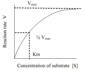 substrate concentration and enzyme activity